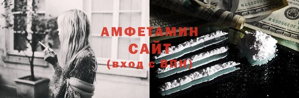 ГАЛЛЮЦИНОГЕННЫЕ ГРИБЫ Козловка